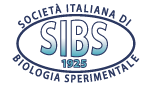 SIBS – Società Italiana di Biologia Sperimentale Logo